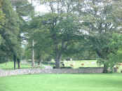 DSCF0241.JPG (353565 bytes)